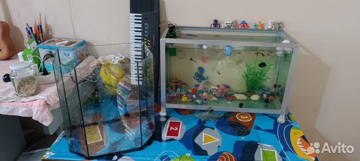 Аквариум с рыбками