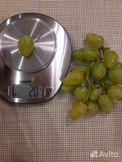 Саженцы винограда