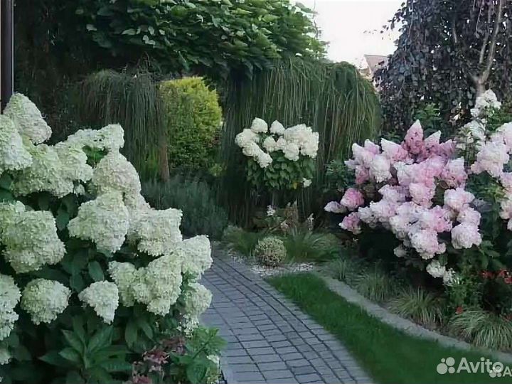 Большие крупномеры