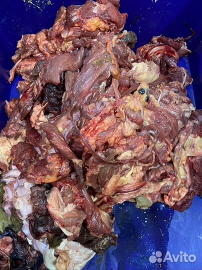 Натуральный корм для собак