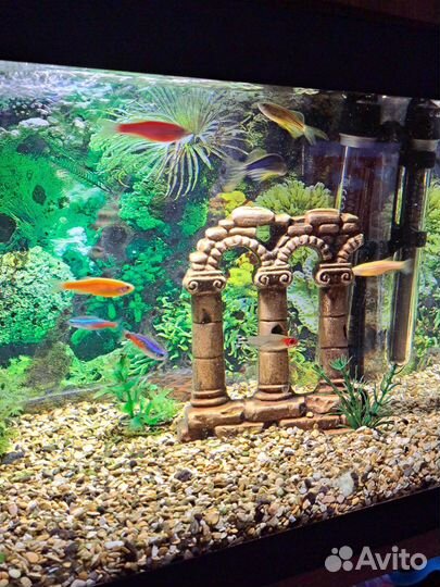 Аквариум 25 литров