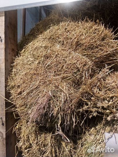 Пресс-подборщик Fortschritt К-454, 1999