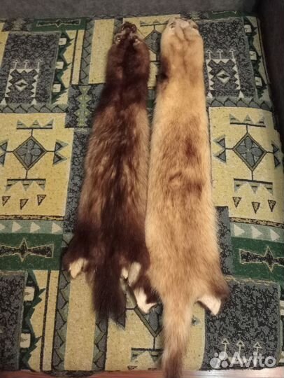 Шкурки норки