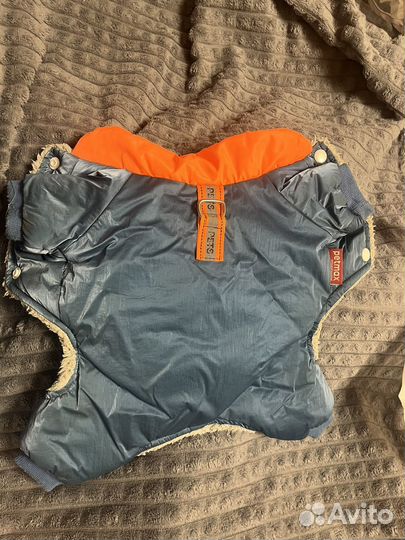 Одежда для собак мелких пород