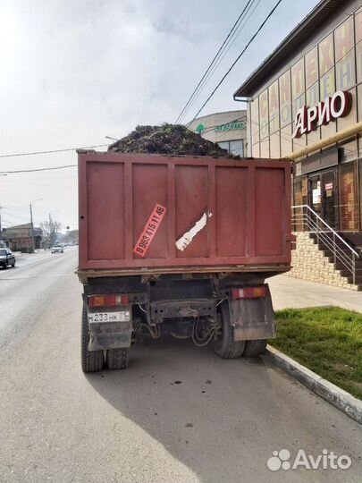 Растения для сада