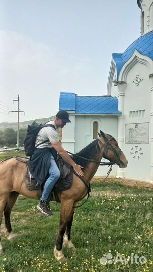 Походы выходного дня в горах Лаго-Наки. Адыгея