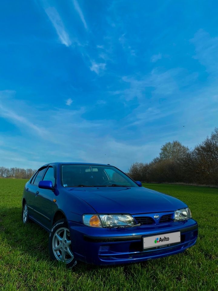 Nissan Almera: фото владельца