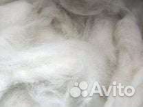 Шерсть (пух) белоснежного самоеда