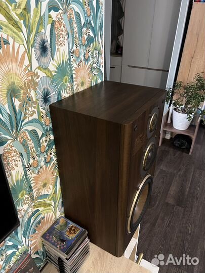 Акустика diatone DS 1000