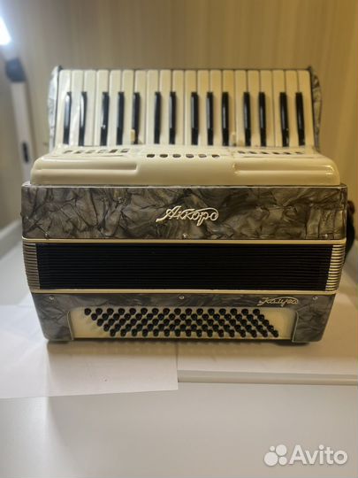 Аккордеон детский