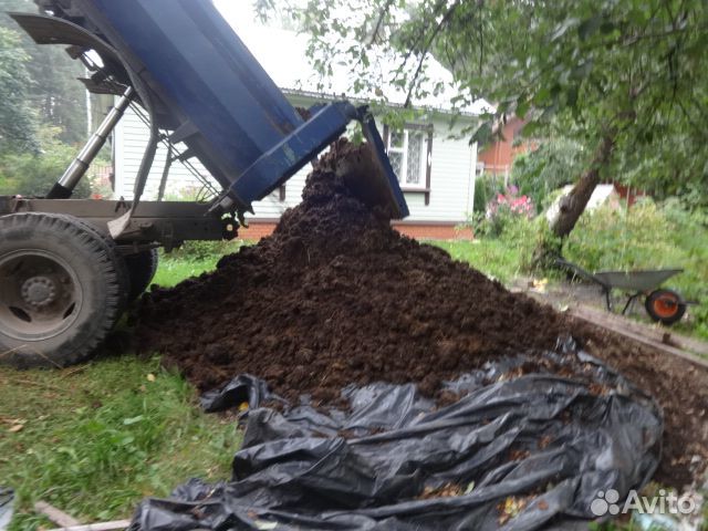 Навоз на садовый участок
