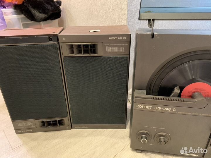 Корвет эф-248 с