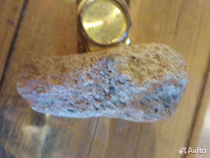 Окаменелая кость