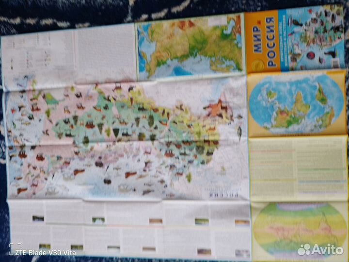 Настенная карта россии