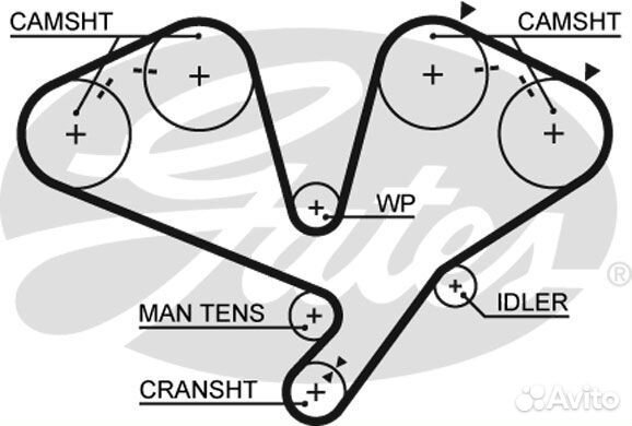 Зубчатый ремень привода грм powergrip, gates 5442xs