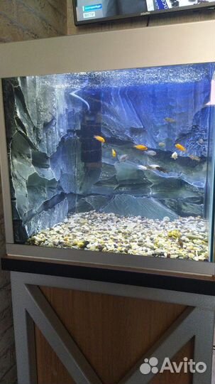 Аквариумы доставка пэк
