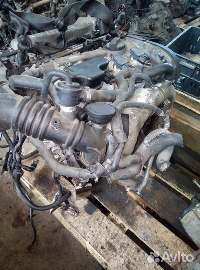 Двигатель (двс) для Audi A3 8L 06A100107TX