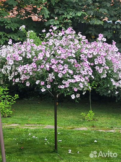 Цветочное дерево, металлоконструкция