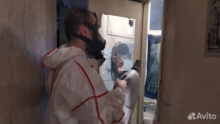 Уничтожение тараканов клопов блох Дезинфекция