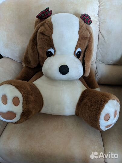 Большая плюшевая собака и хитрый кот