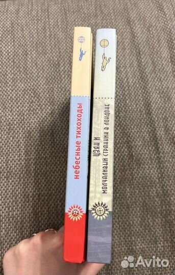 Небесные тихоходы и Молчаливый странник