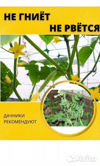 Сетка шпалерная для огурцов 15*15см 2х10м зеленая