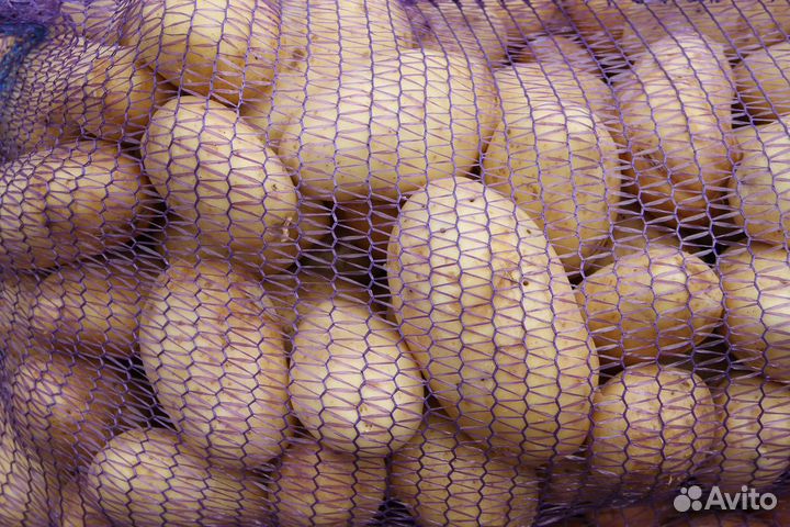 Продам картофель