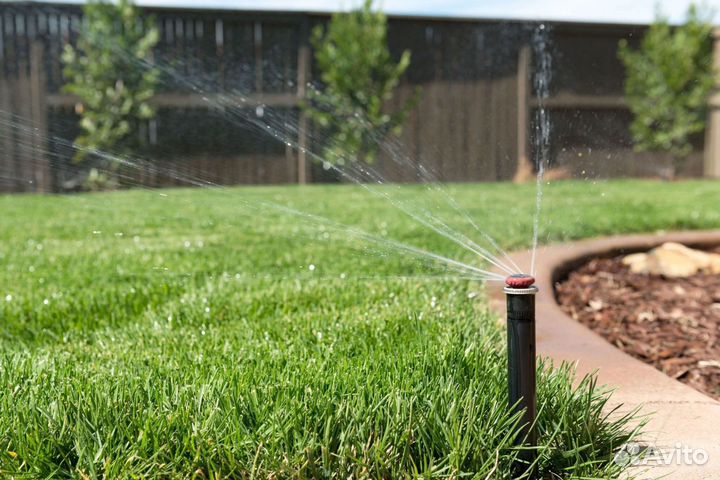 Рулонный газон. Укладка + Автополив