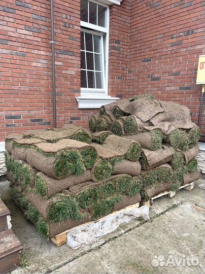 Рулонный газон. Укладка за 1 день