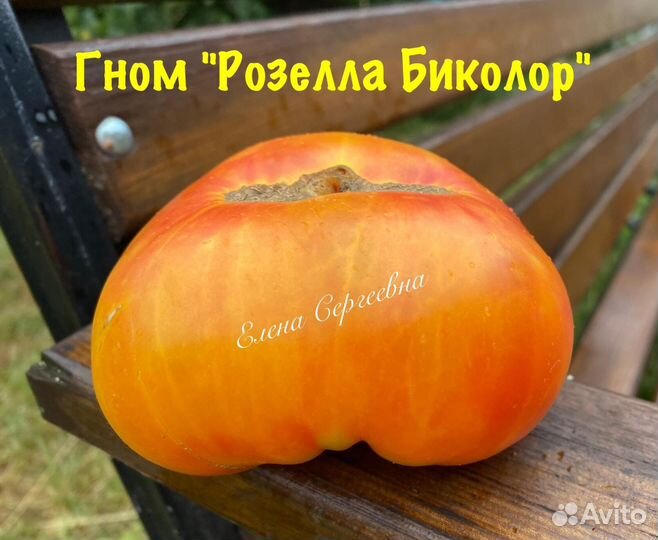 Семена томатов гномов