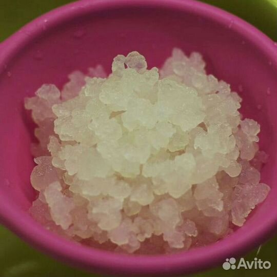 Индийский морской рис