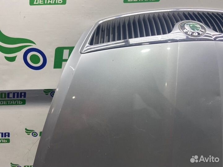 Капот передний Skoda Octavia лифтбек дизель 2008