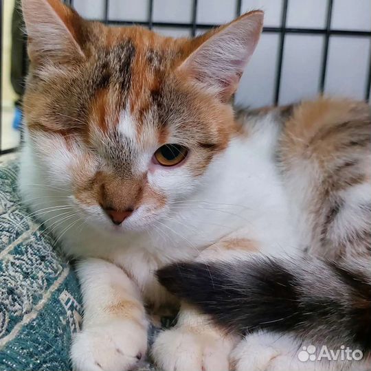 Без глазика никому не нужна