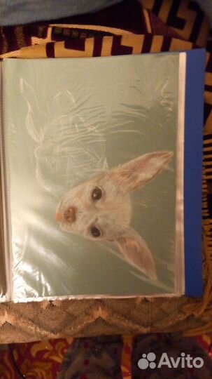 Портрет питомца на заказ пастелью