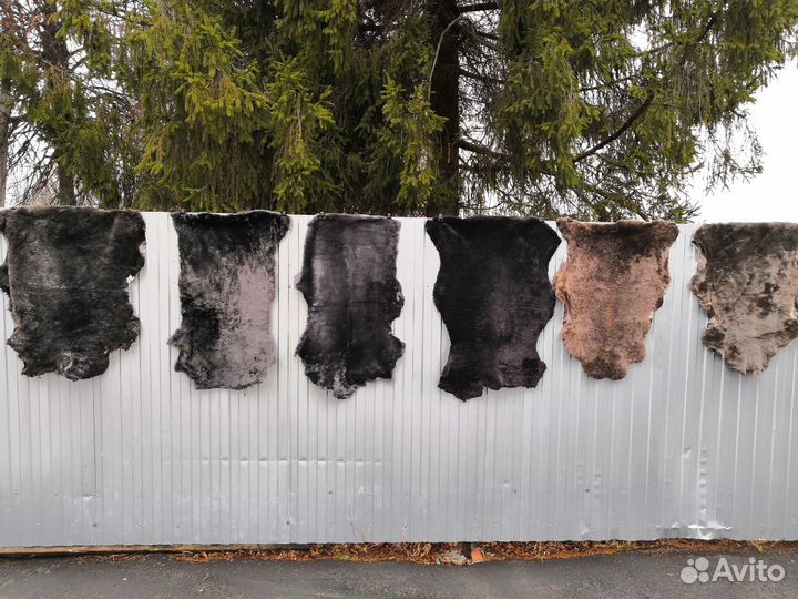 Шкурки (шкуры ) овчины