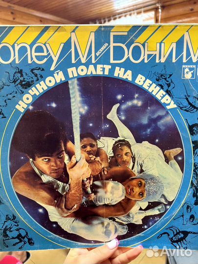 Виниловая пластинка