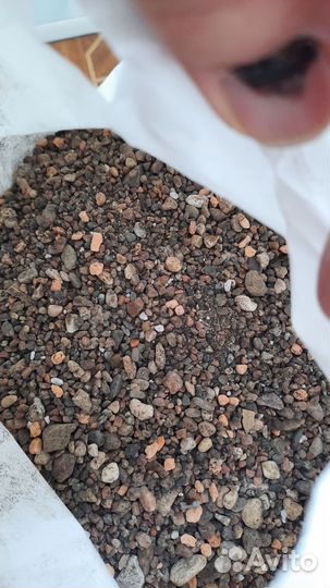 Грунт для кактусов и суккулентов