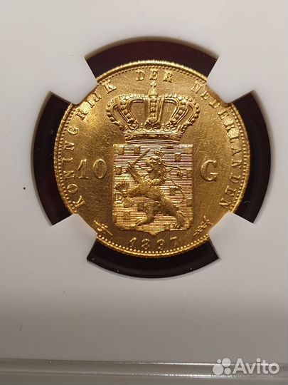 Нидерланды 10 гульденов 1897Слаб NGS MS63 золото