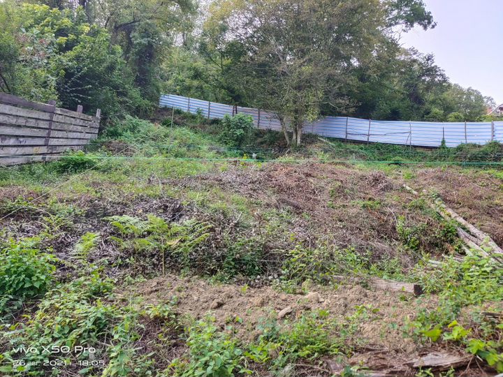 Участок 4,7 сот. (СНТ, ДНП)