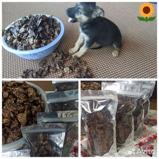 Лакомства для собак