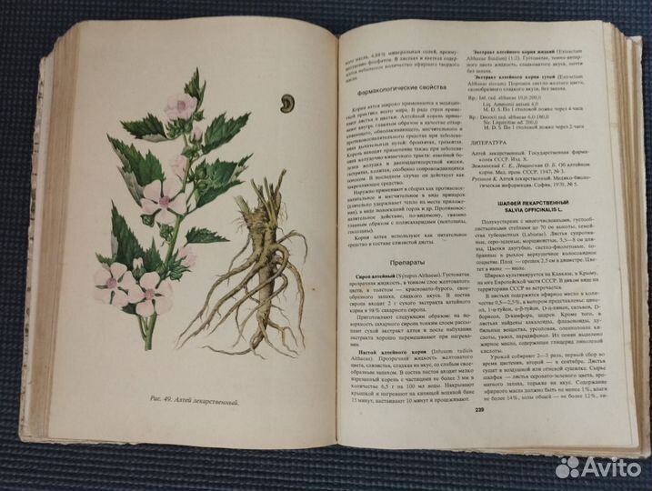 Турова Лекарственные растения СССР и их применение