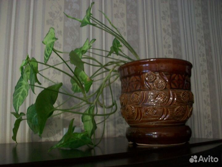 Горшок цветочный керамический