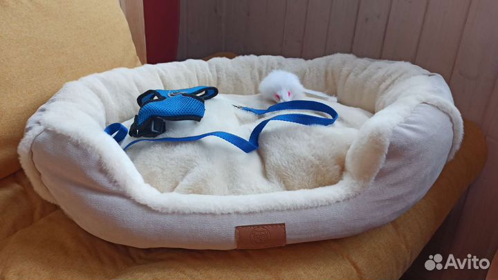 Лежанка для собак и кошек