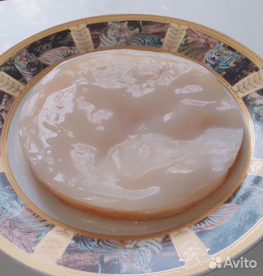 Чайный гриб