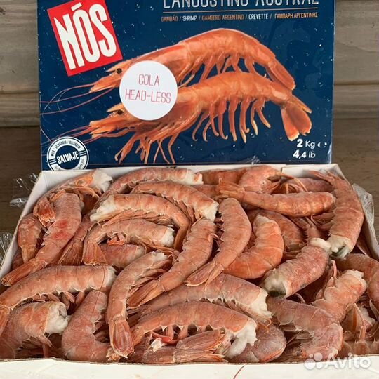 Лангустины без головы С1