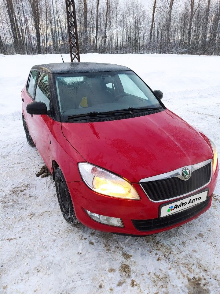 Skoda Fabia: фото владельца