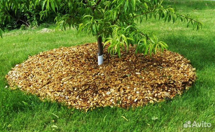 Щепа деревьев, мульча, минеральное удобрение