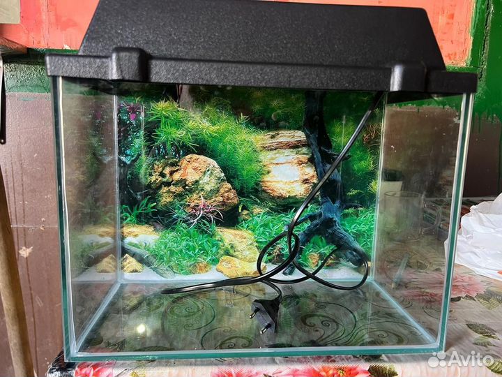 Аквариум с крышкой