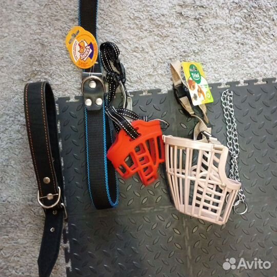 Ошейник и намордник