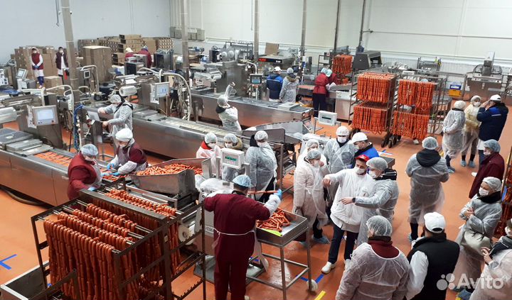 Промышленное предприятие по производству колбас